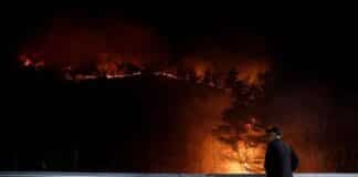 South Korea wildfires