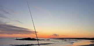 fishing