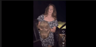 wombatgate