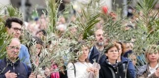 Palm Sunday