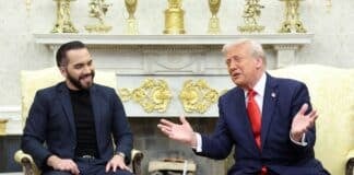 Nayib Bukele