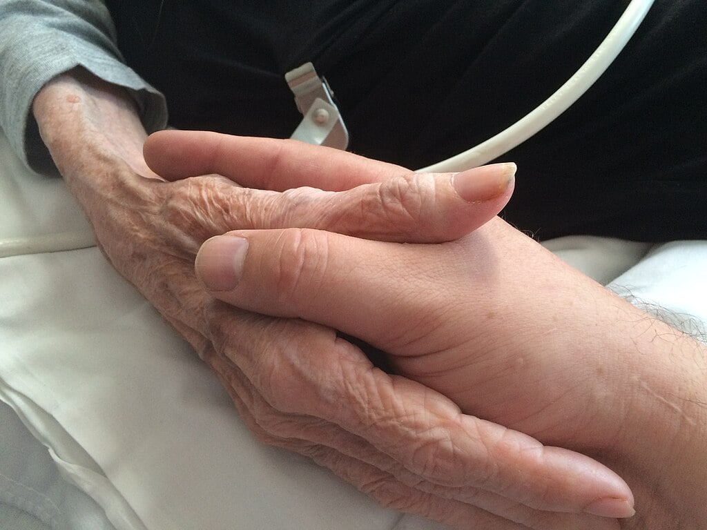 palliative care