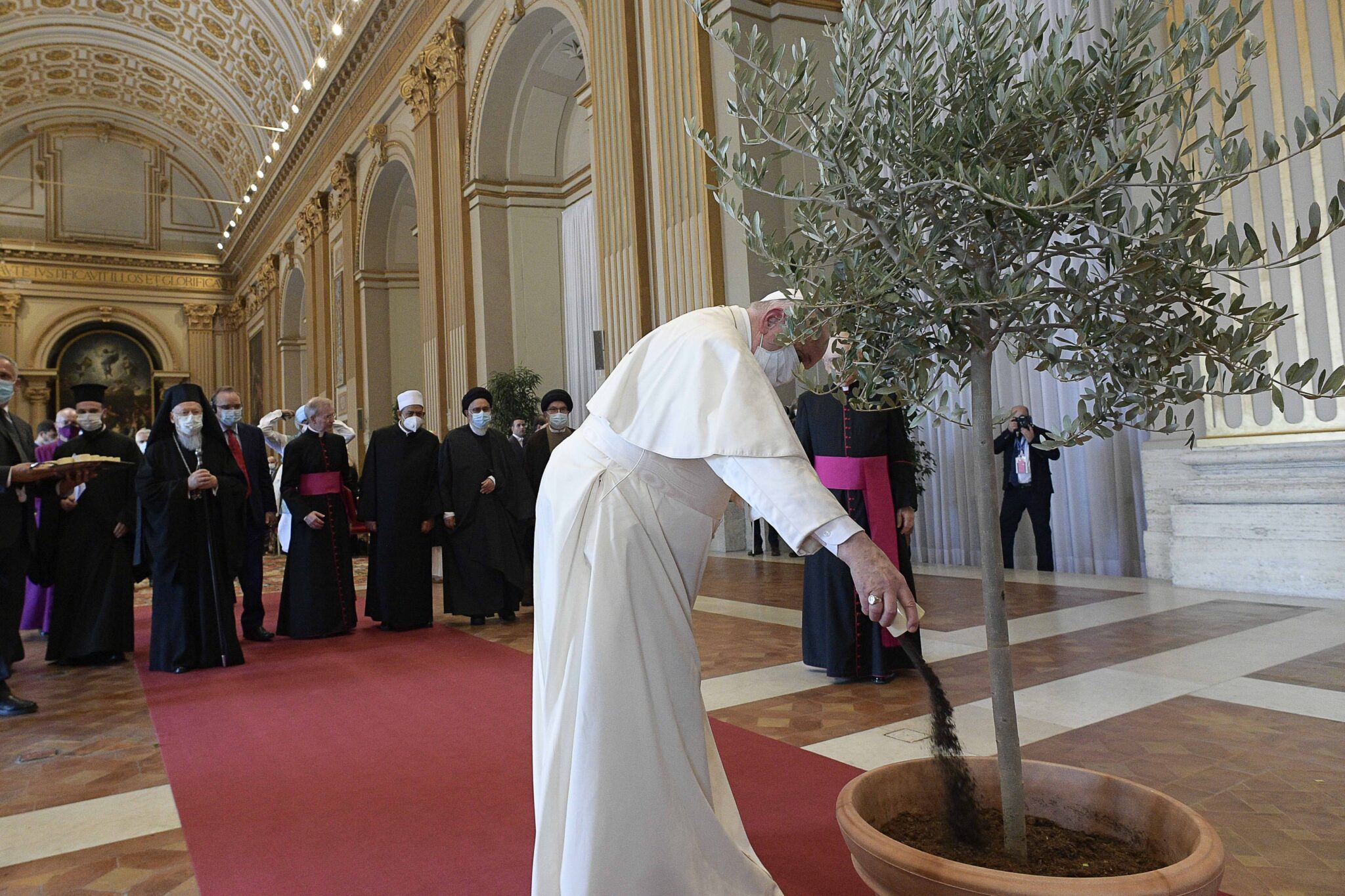 laudato si