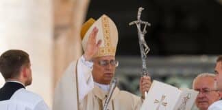 pope homily