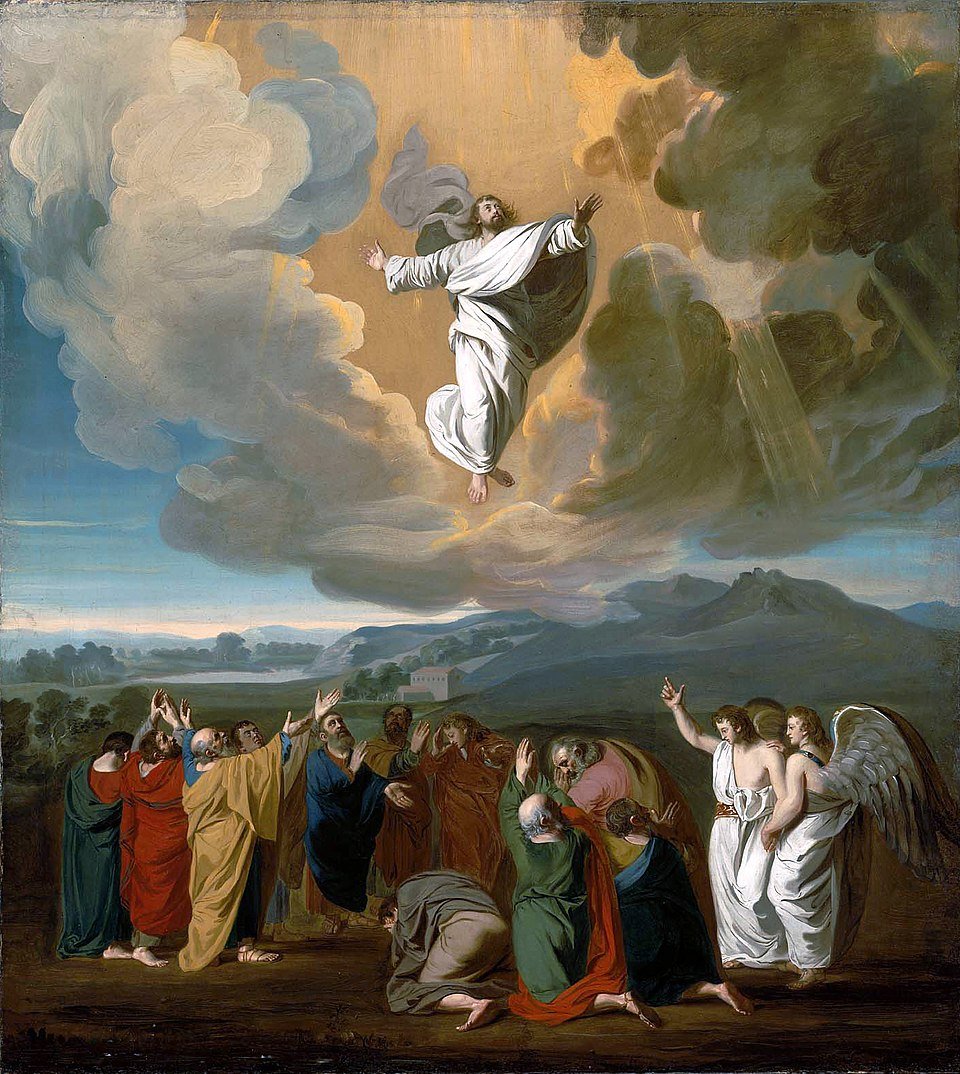 Archbishop Fisher’s homily: Jesus has not left us orphaned
